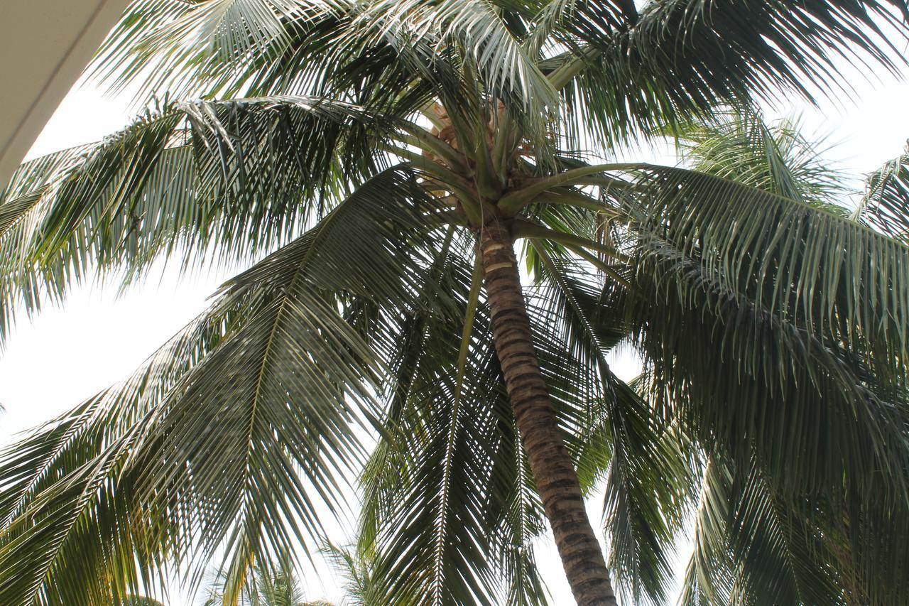 Green Ocean Bay Arugam Bay Exterior photo